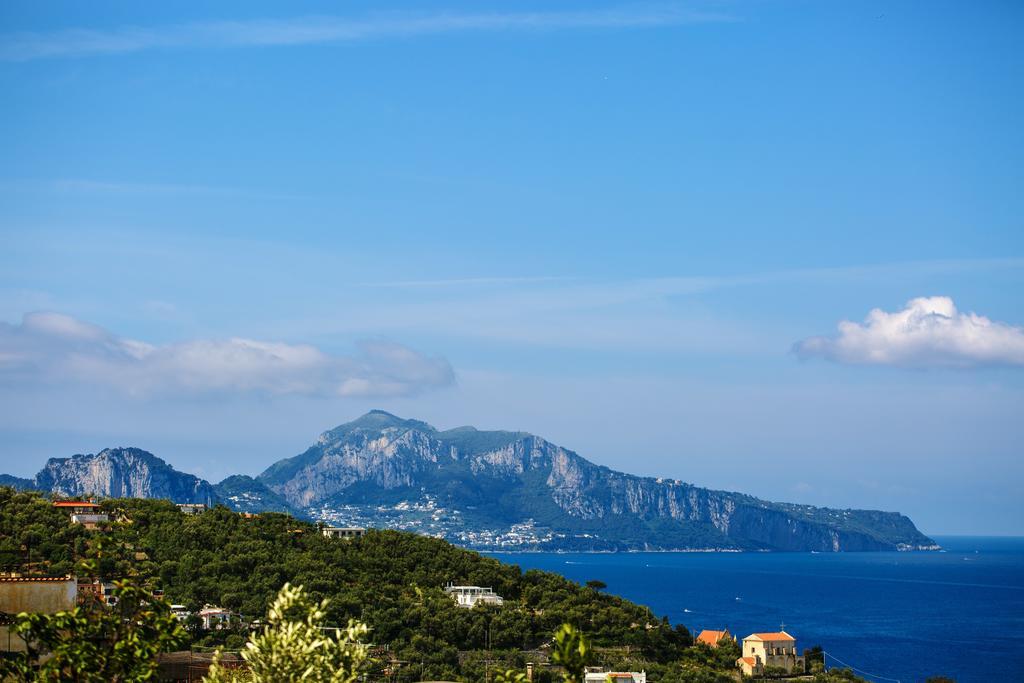 Relais Il Pennino Bed & Breakfast Massa Lubrense Exterior foto